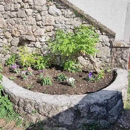 Macmalic